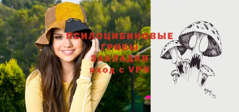 shop какой сайт  Киржач  Галлюциногенные грибы Magic Shrooms 